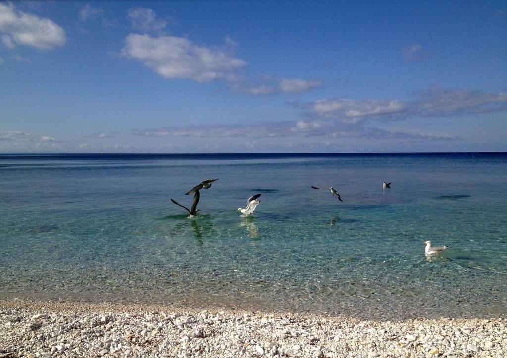 Appartamento Ponticello By Helloelba Portoferraio Dış mekan fotoğraf